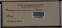 Image Associated With the Occurence